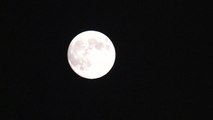 [날씨] 추석, 100년 만에 가장 둥근 달...대부분 감상 가능 / YTN