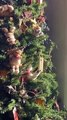 Cat Plays in Christmas Tree