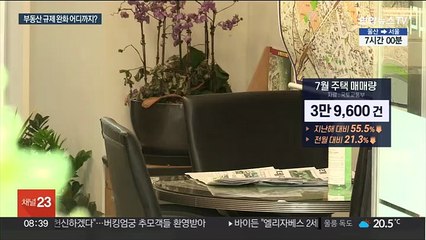 추석 뒤 부동산 규제 완화…정부, 시기·범위 고심