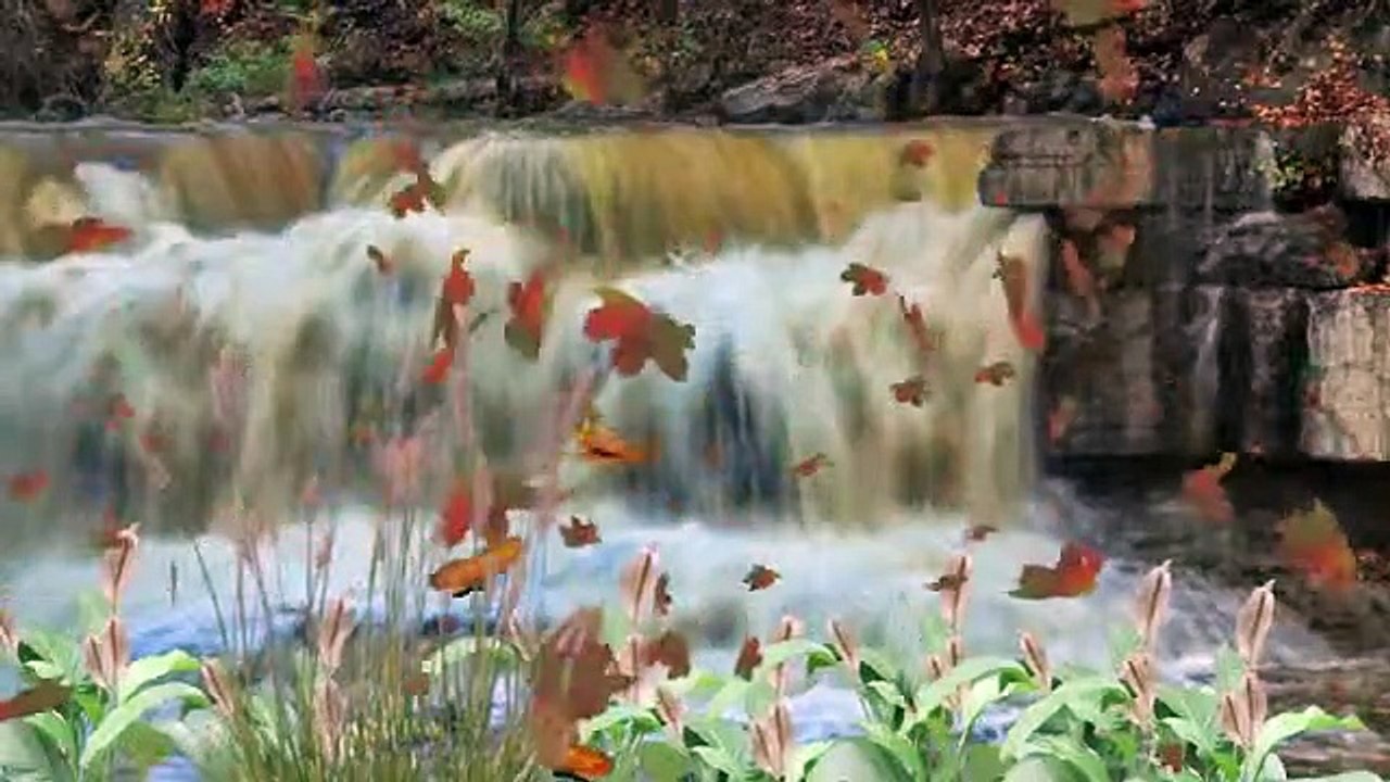 Minute Guided Meditation ~ Relaxed Body Relaxed Mind soul