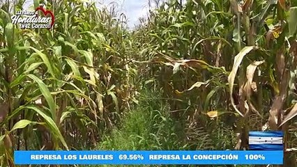 "Son criminales arropados como campesinos": Empresarios en reunión sobre invasión de tierras