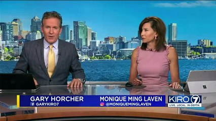 Megan Hilty's Sister, Brother-in-Law Killed in Plane Crash