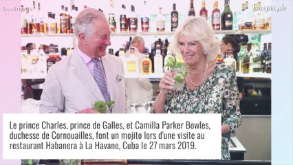 Charles III et Camilla : qui est Simon, le fils caché prétendu du roi et de la reine consort ?