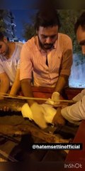 Saving an Injured Horse in Egypt
