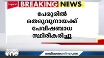 കോട്ടയത്ത് നാട്ടുകാരെ കടിച്ച തെരുവ് നായക്ക് പേ വിഷബാധ സ്ഥിരീകരിച്ചു