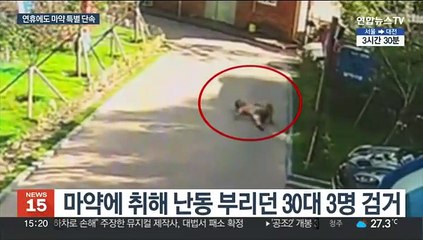 어려지는 마약 범죄…연휴에도 마약과의 총력전