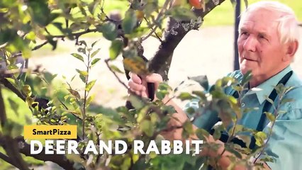 10 Unbelievable Animals That Saved Other Animals