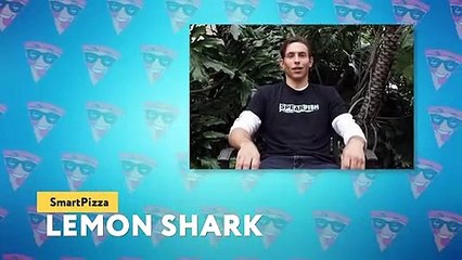 She Did a Huge Mistake! One In A Million Animal Moments Captured on Camera