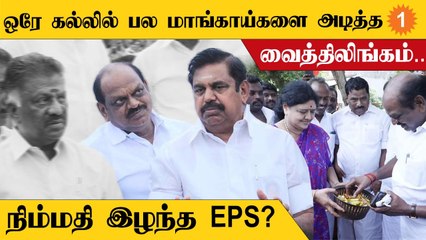 ADMK Vaithilingam | வைத்திலிங்கம் முயற்சியால் தஞ்சை மண்டல அதிமுகவினர் முகத்தில் நிம்மதி