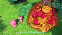 Apples and Bananas 2 _ CoComelon Nursery Rhymes & Kids Songs