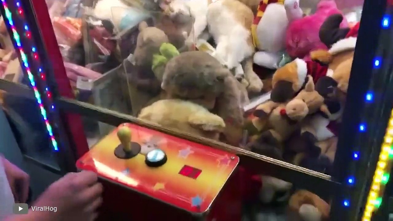 If These Animal Encounters Were Not Filmed, No One Would Believe It