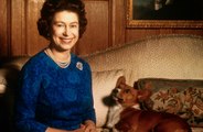 ¿Qué pasará con los queridos perros de la reina Isabel II tras su fallecimiento?