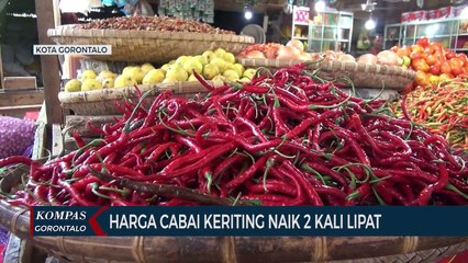 Harga Cabai Keriting Di Kota Gorontalo Naik 2 Kali Lipat