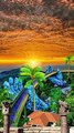 Sunset --___feelit _redflowers _whiteflowers _flowers_nature _nature_gift _feeit _nature _weather_reels _romance _reeitfeelit _nature _tation _tree _naturecaptures _amazingnature _naturepics _narure _wildlife _naturelovers _hikewithpk __natu(