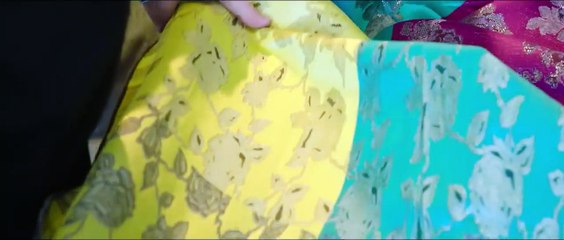 Dries Van Noten - Le maître flamand de la mode Bande-annonce (EN)