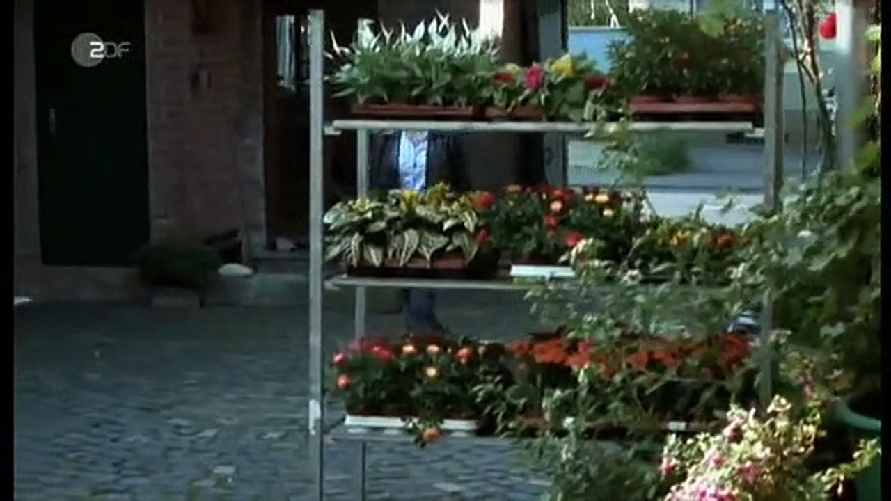 SOKO Köln Staffel 5 Folge 8 HD Deutsch