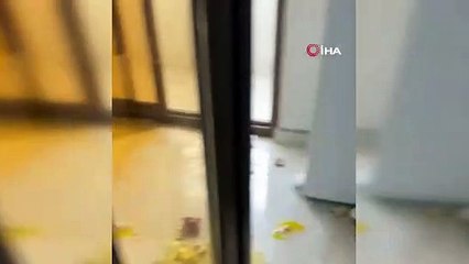 Madde bağımlısı genç, 85 yaşındaki anneannesini dövdü, kız kardeşi isyan etti