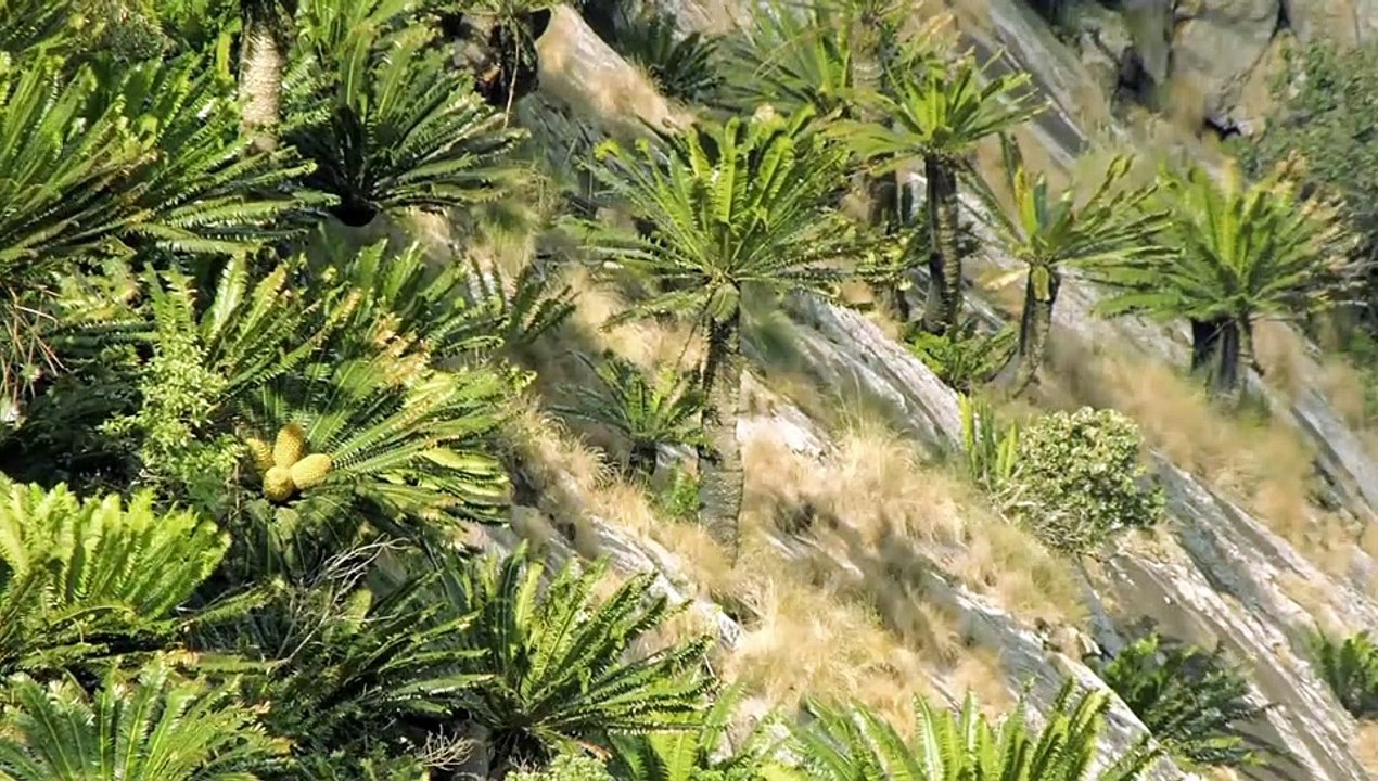 Africa's Hidden Kingdoms Staffel 1 Folge 2 HD Deutsch