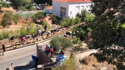 Cogida con doble cornada en el encierro de reses de Colmenar del Arroyo de Madrid
