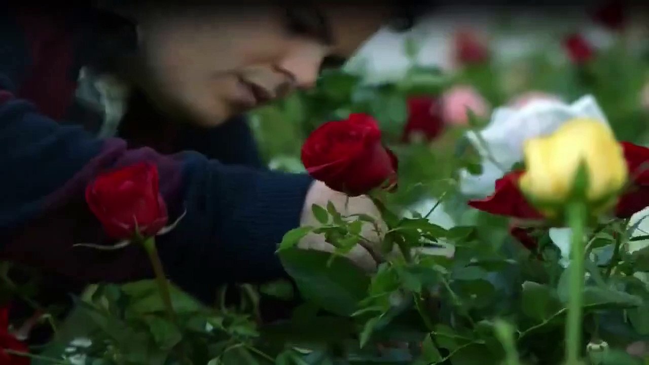 1600 Penn Staffel 1 Folge 9 HD Deutsch