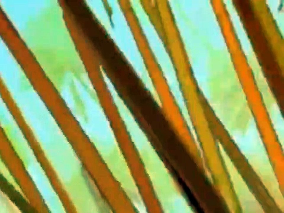 Papyrus Staffel 1 Folge 4 HD Deutsch