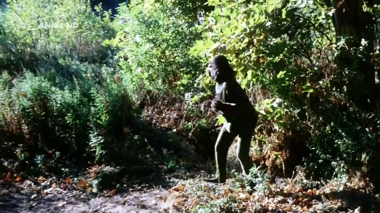 Planet der Affen Staffel 1 Folge 11 HD Deutsch