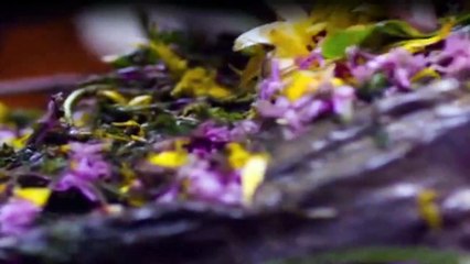 Die Bergretter Staffel 6 Folge 2 - Part 02 HD Deutsch