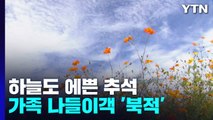 고향에서 맞은 청명한 가을...가족 나들이객 북적 / YTN