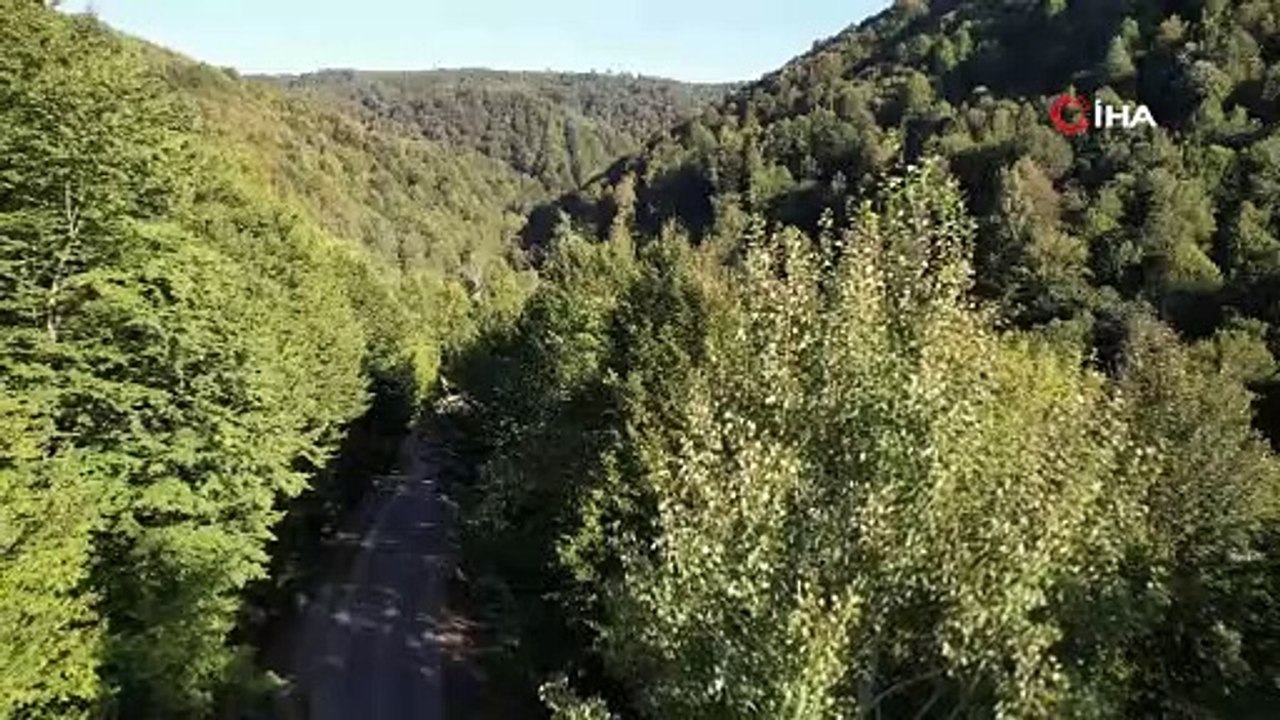 Zonguldak ormanlarında sonbaharda tabloluk görüntüler