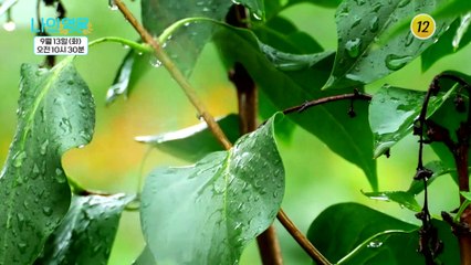 도대체 무슨일이 있었던 걸까?_나의 영웅 4회 예고 TV CHOSUN 220913 방송