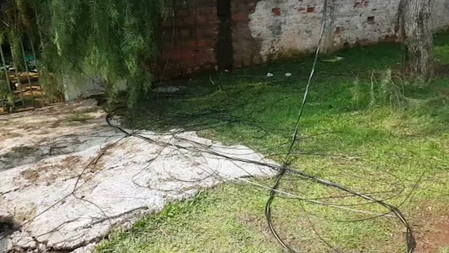 Bombeiros realizam corte de árvore que caiu em residência no Julieta Bueno