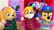 Paw Patrol Snuggle Pups Complete! Best One Hour Toy Learning Video