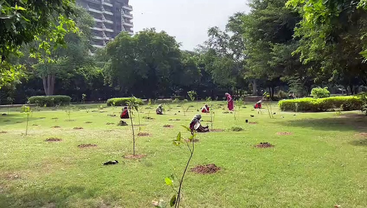 सेंट्रल पार्क: जन सहयोग से बढ़ा रहे हरियाली, लो...
