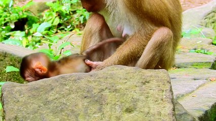 Everyone Loves Playing Around Baby Rainbow?