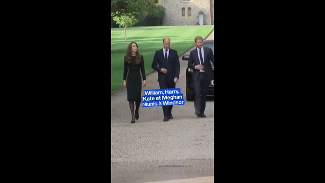 William, Harry, Kate et Meghan unis devant Windsor pour un bain de foule