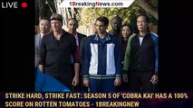 Strike hard, strike fast: Season 5 of 'Cobra Kai' has a 100% score on Rotten Tomatoes - 1breakingnew