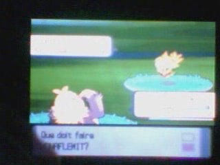 capture de feuforeve shiney