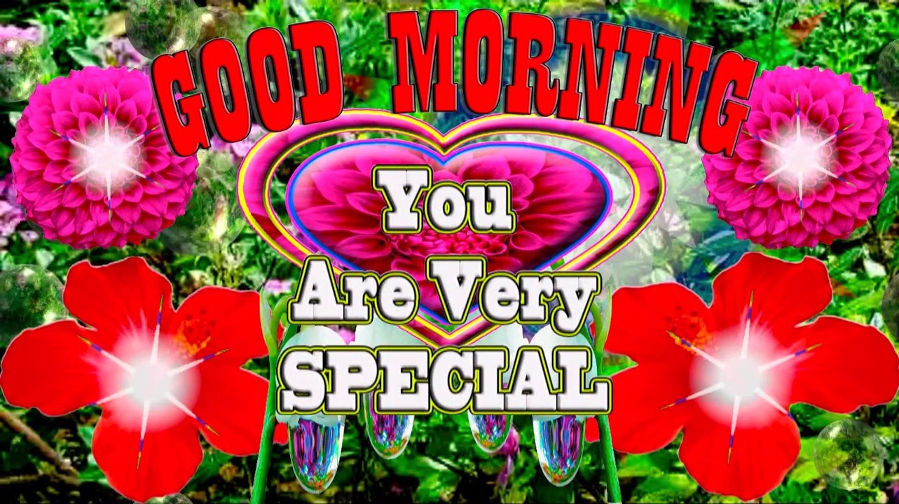 Hello friends | Good Morning | You are very special | GOOD MORNING video | morning wishes | gif| pic