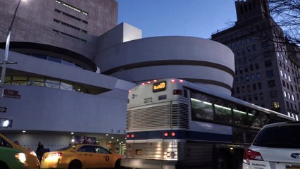 All the Beauty and the Bloodshed - Clip