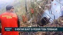 Diduga Musim Kemarau Berkepanjangan, Api Lahap 5 Hektare Lahan Bukit di Pesisir Toba!