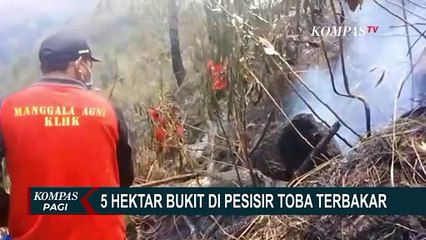 Diduga Musim Kemarau Berkepanjangan, Api Lahap 5 Hektare Lahan Bukit di Pesisir Toba!
