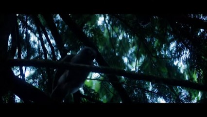 PERCY JACKSON AND THE OLYMPIANS Trailer Teaser (2022)