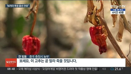 위기의 농업…2045년 64개국에 '폭염 흉년' 온다