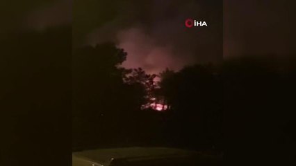 Sinop yerel haberleri... Sinop'ta çamlık alanda korkutan yangın