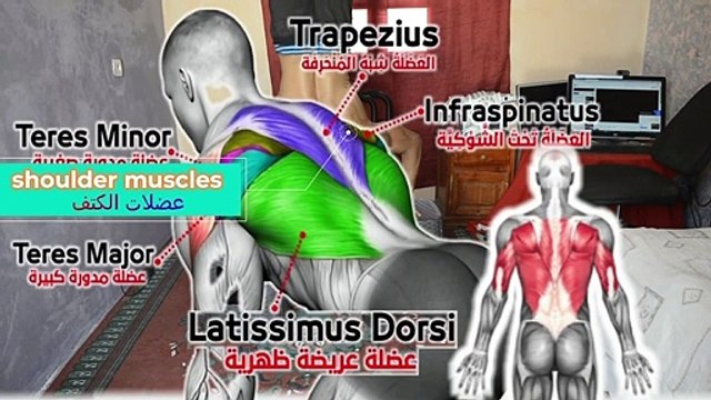 Bodyweight Workout at home... full-body exercises at home..exercise at home for women's belly fat