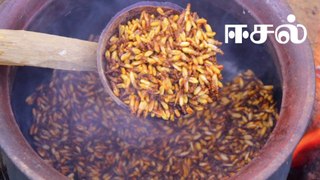 Eesal | Cooking Eating Winged TERMITES | Healthy village food | Village Cooking Channel