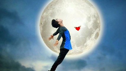 Bollywood Lofi Latest New Songs 2022