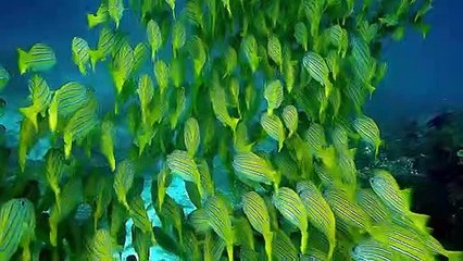 14 minutes Beautiful Nature with Relaxing Music sound meditation Relaxing Music - Positive Feelings and Energy