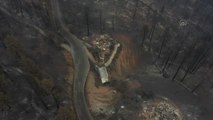 Son dakika haberi: KALİFORNİYA - Kaliforniya'da orman yangınları sürüyor