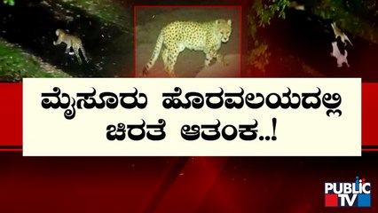 ನಾಯಿ ಬೇಟೆಯ ರೋಚಕ ದೃಶ್ಯ ಸಿಸಿಟಿವಿಯಲ್ಲಿ ಸೆರೆ | Mysuru | Leopard | Public TV